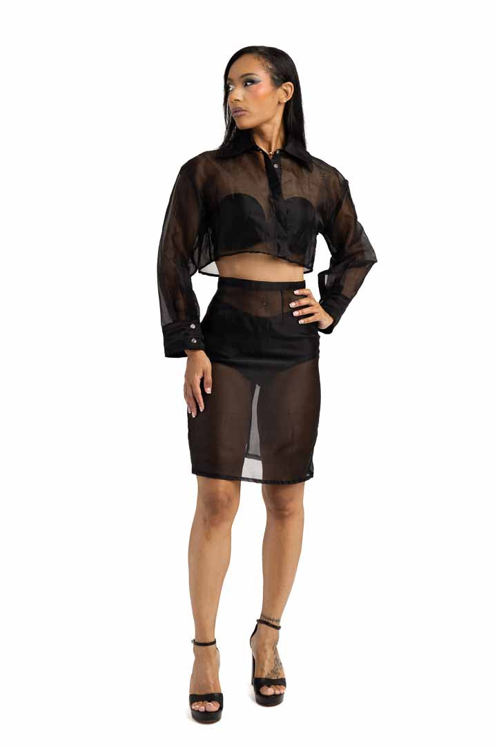 Sheer Skirt