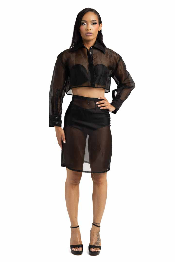 Sheer Shirt