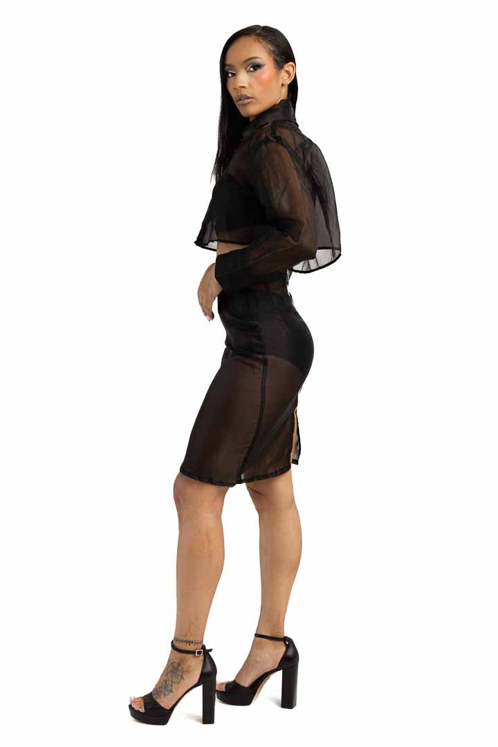 Sheer Skirt