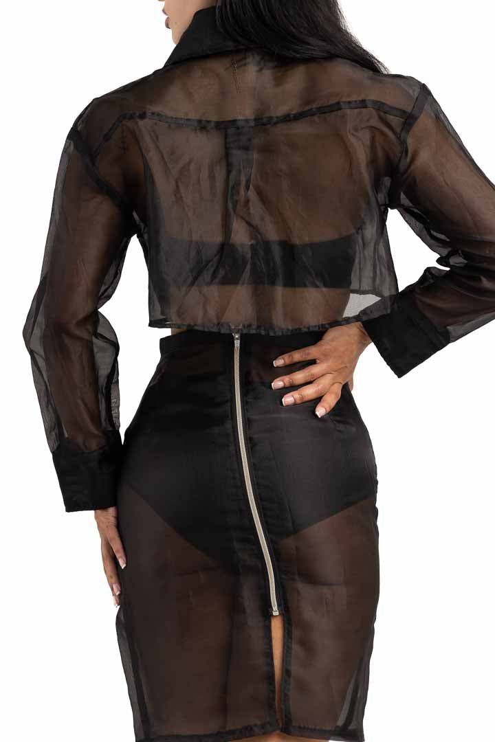 Sheer Shirt