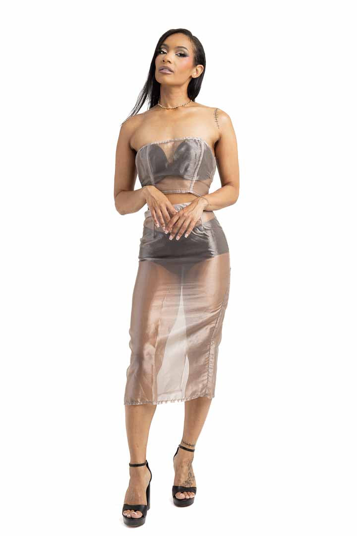 Sheer Skirt