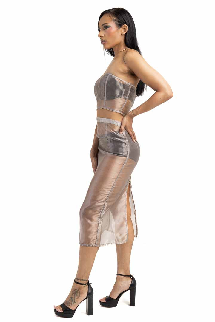 Sheer Skirt