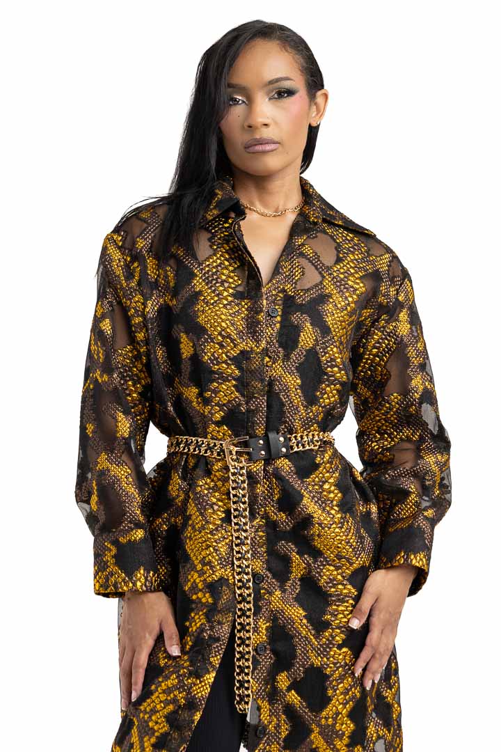 Sheer Shirt Dress