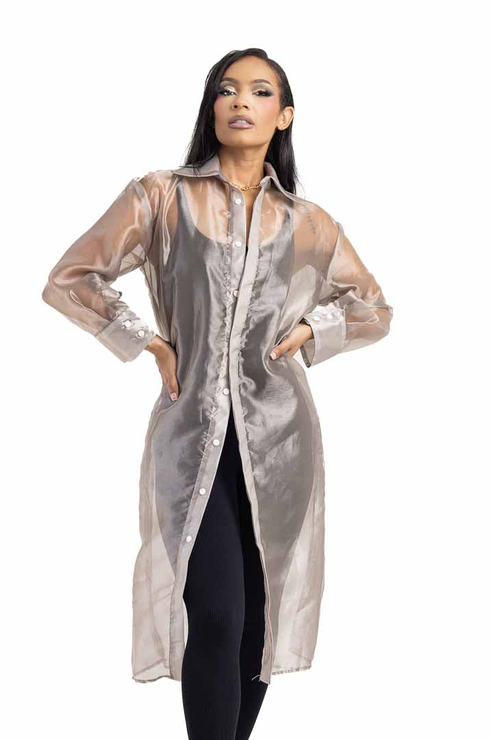 Sheer Shirt Dress