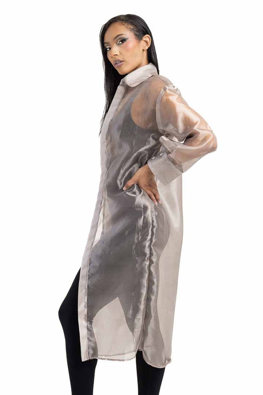 Sheer Shirt Dress