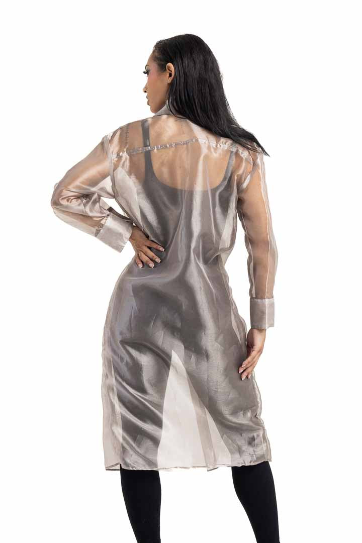 Sheer Shirt Dress