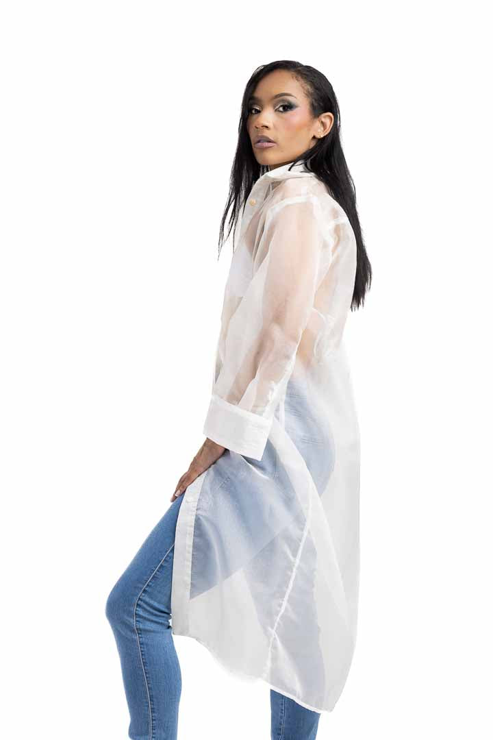 Sheer Shirt Dress