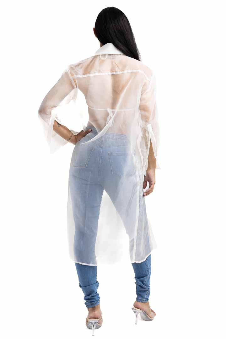 Sheer Shirt Dress